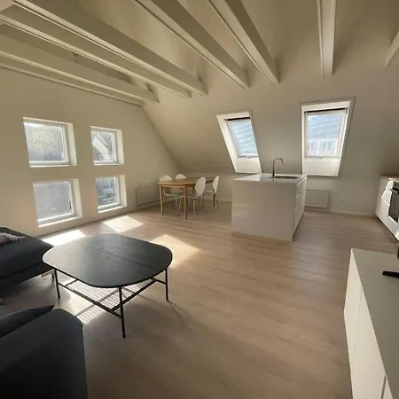 Apartment 3-bedroom Center W Private Parking